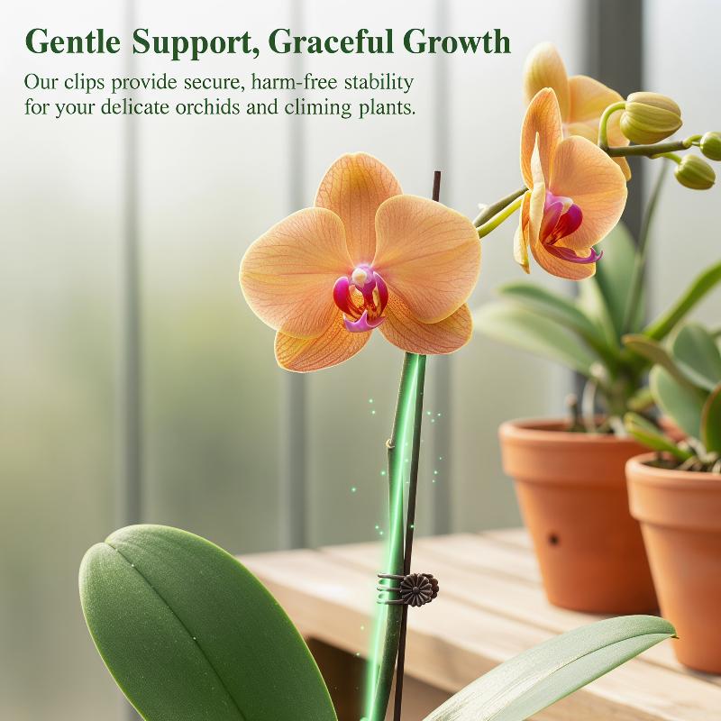 Home Security Tools - 50Pcs Plant Fixed Clip Butterfly Orchid