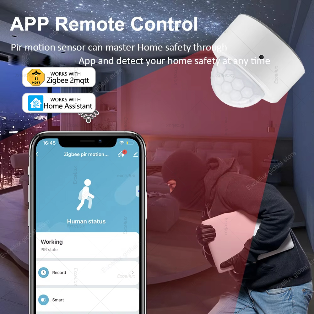 ZigBee PIR Motion Sensor Mini  – Home Security Alarm Bewertung und Preis
