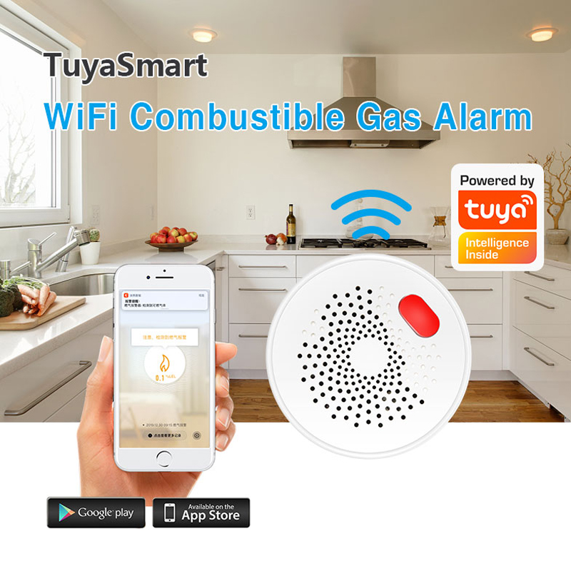 Tuya Smart Home Wifi Natural G – Home Security Tools Bewertung und Preis