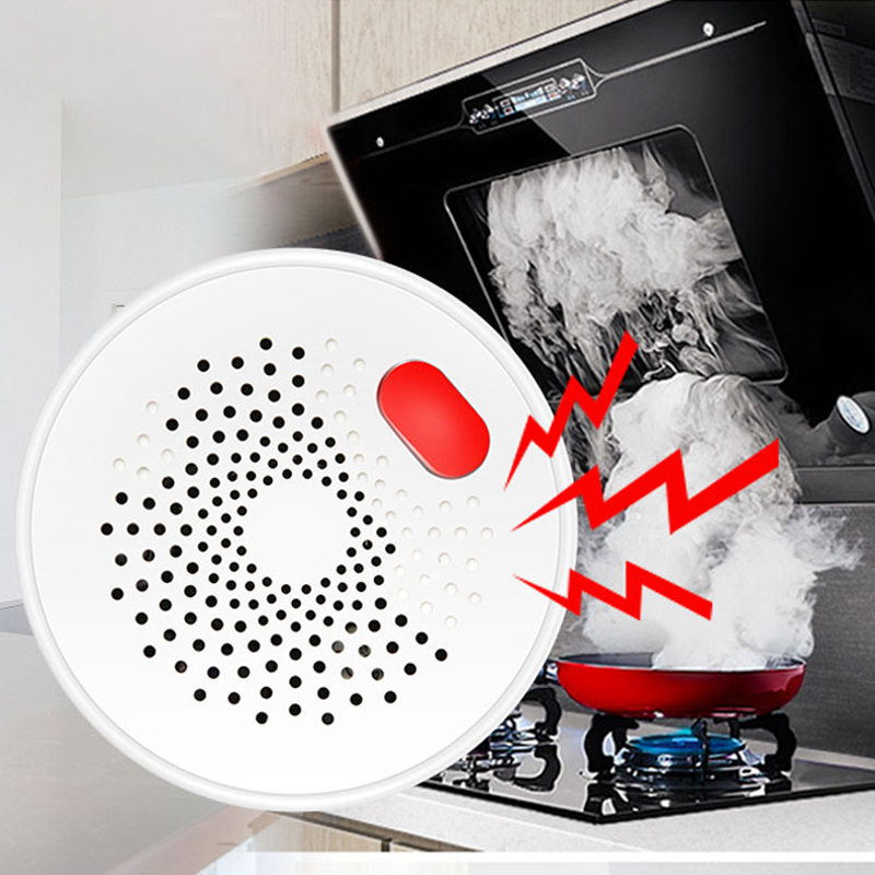 Tuya Smart Home Wifi Natural G – Home Security Tools Bewertung und Preis