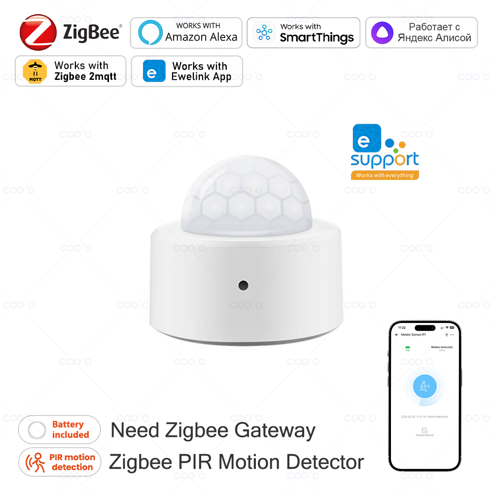 Zigbee Mini PIR Motion Sensor  – Home Security Alarm Bewertung und Preis