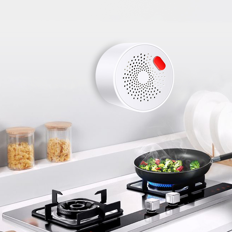 Tuya Smart Home Wifi Natural G – Home Security Tools Bewertung und Preis