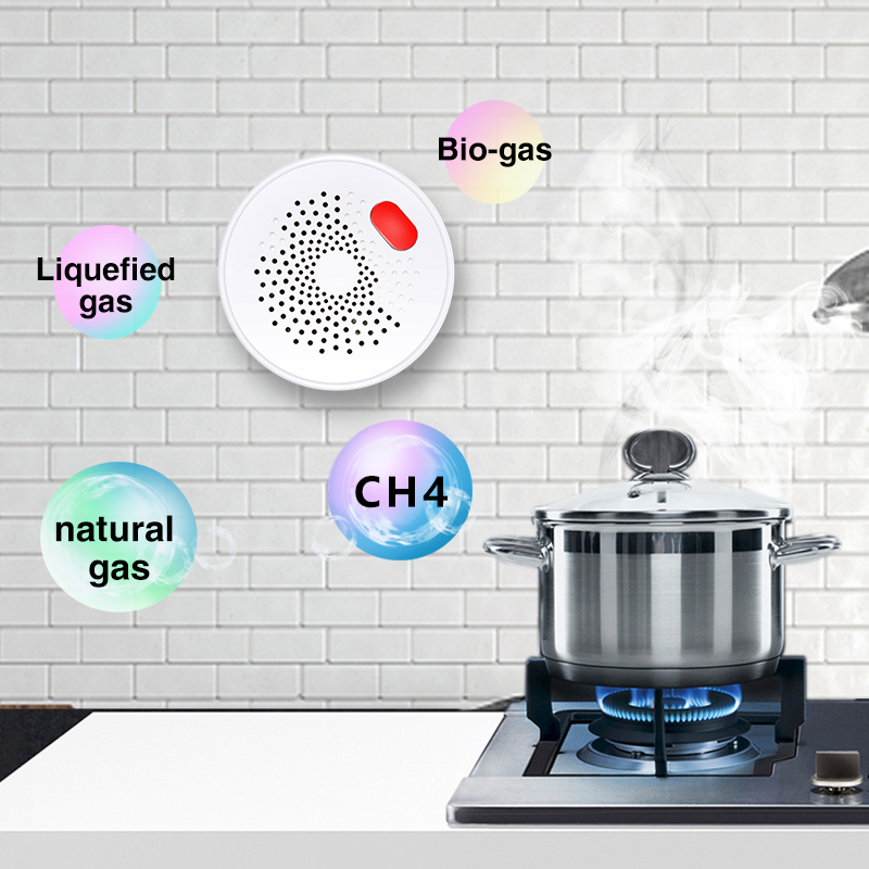 Tuya Smart Home Wifi Natural G – Home Security Tools Bewertung und Preis