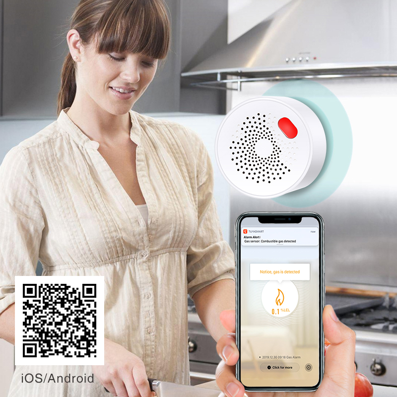 Tuya Smart Home Wifi Natural G – Home Security Tools Bewertung und Preis